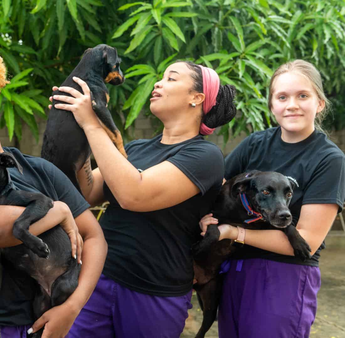 4-Students_with_puppies-1_2
